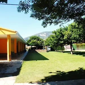 Camping Camping, Organya